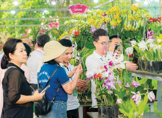 Visitors at an orchid exhibition in Co Ha Garden. Photo: Bao Minh